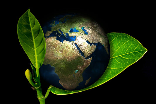 Earth-Friendly Gift Shopping has Become Even Better at Store with a Heart